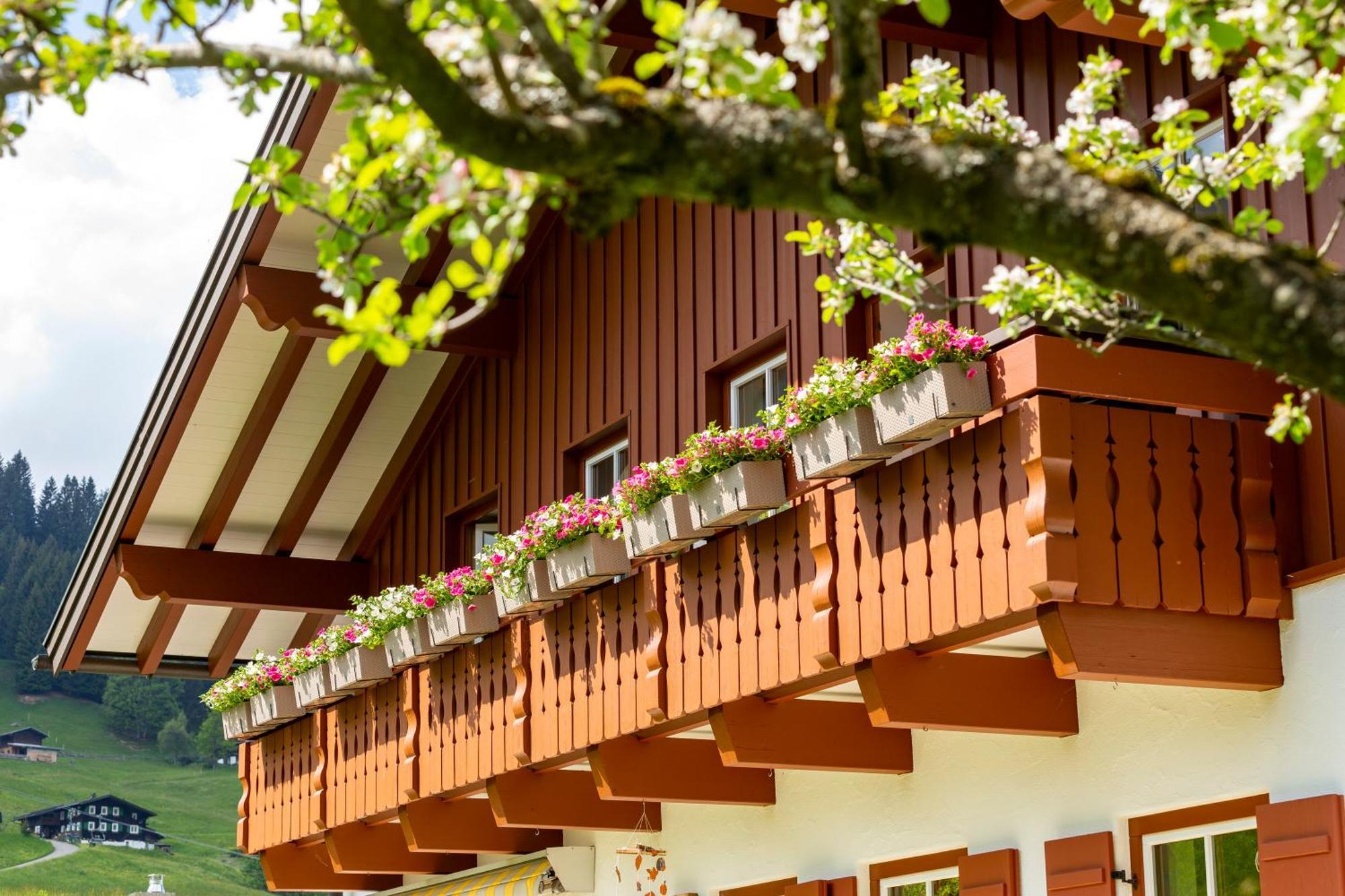 Haus Berg & Tal Apartman Hirschegg  Kültér fotó